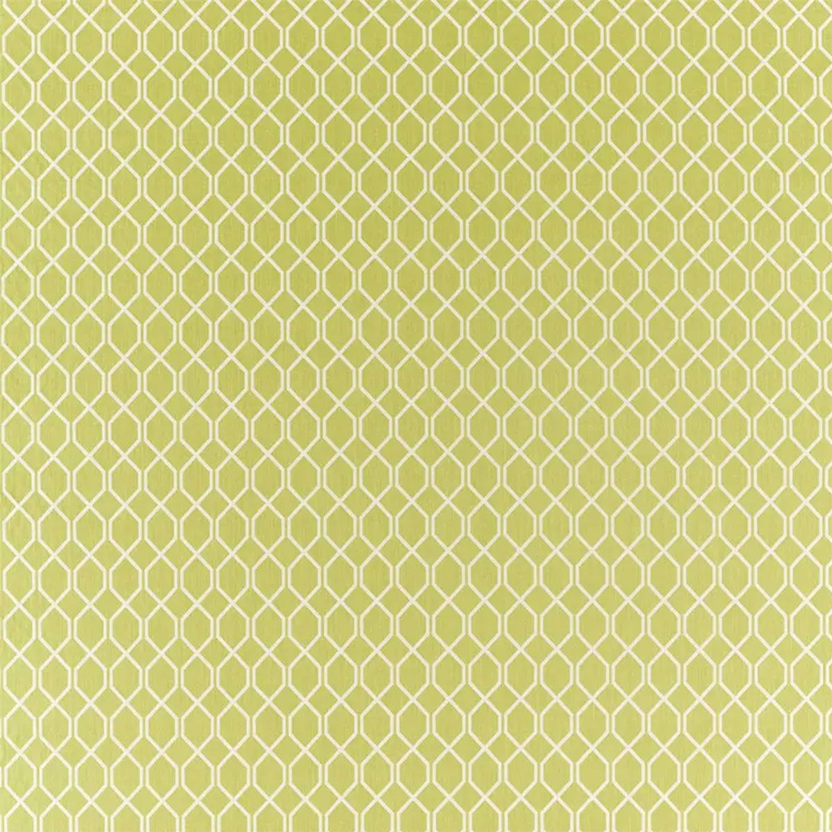 Botanic Trellis Fabric - Sanderson