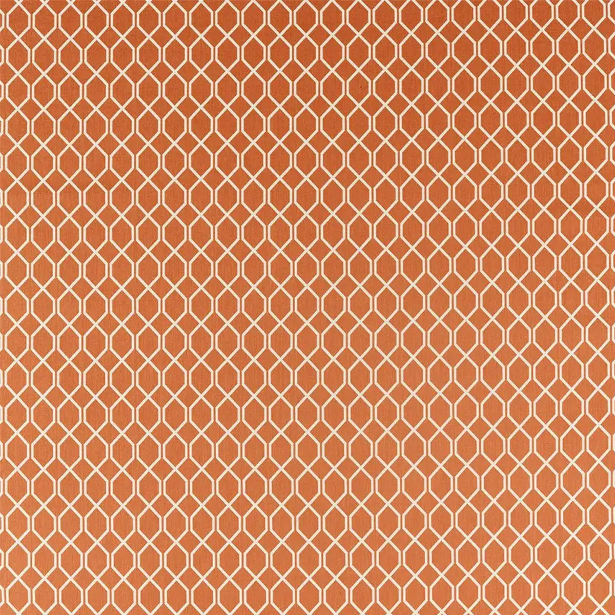 Botanic Trellis Fabric - Sanderson
