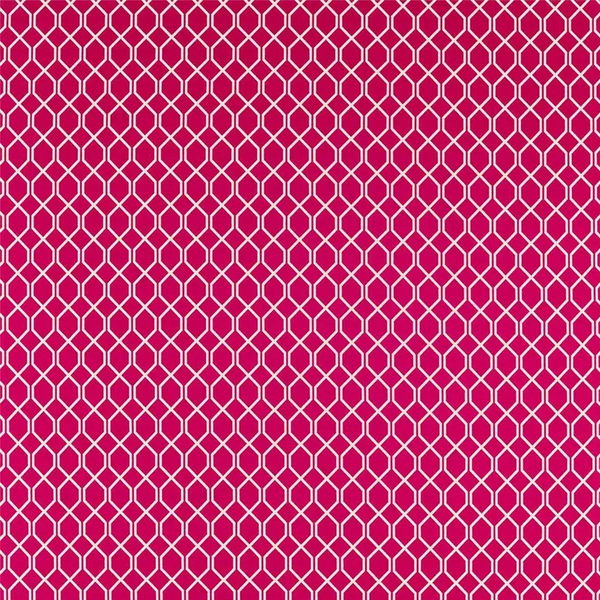 Botanic Trellis Fabric - Sanderson