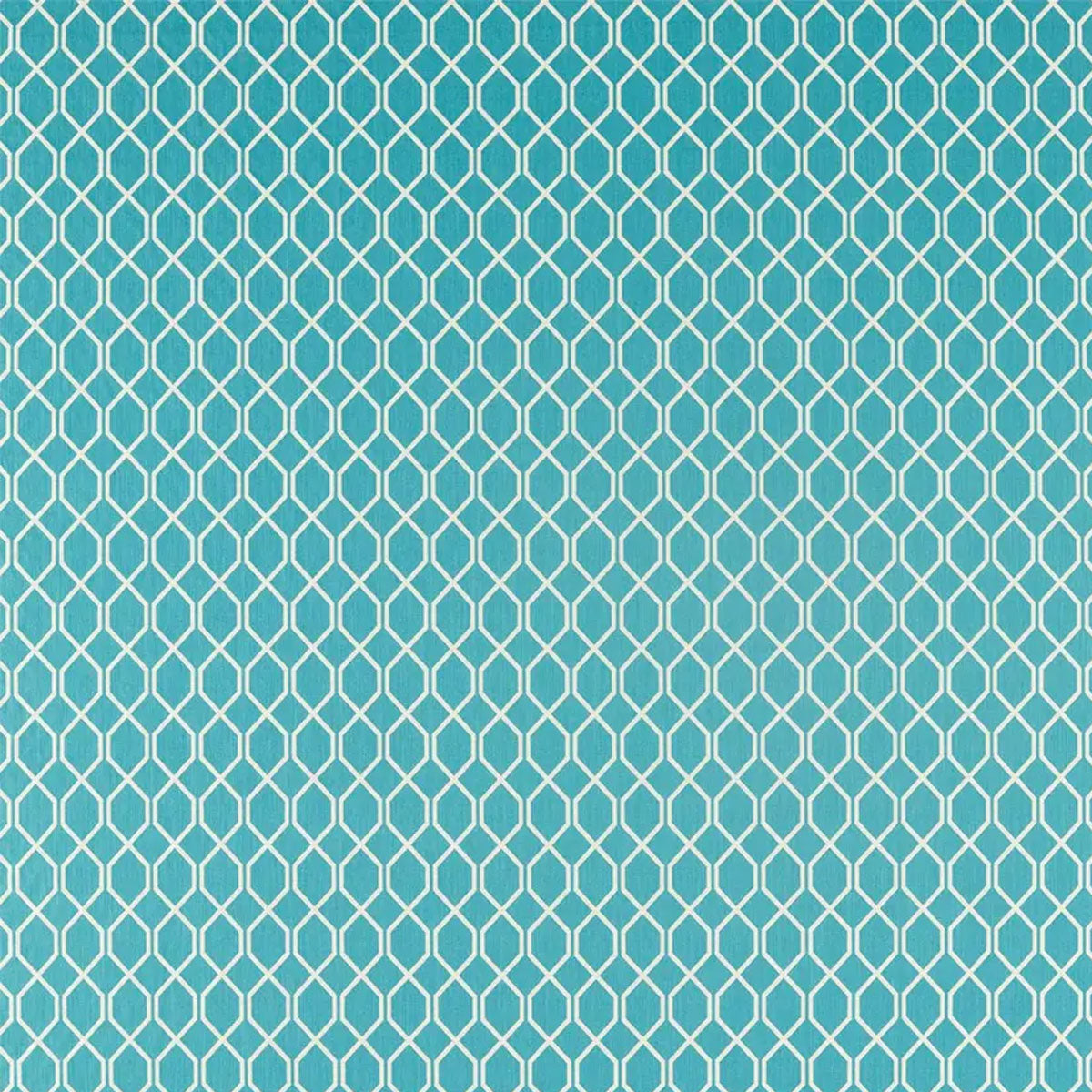 Botanic Trellis Fabric - Sanderson