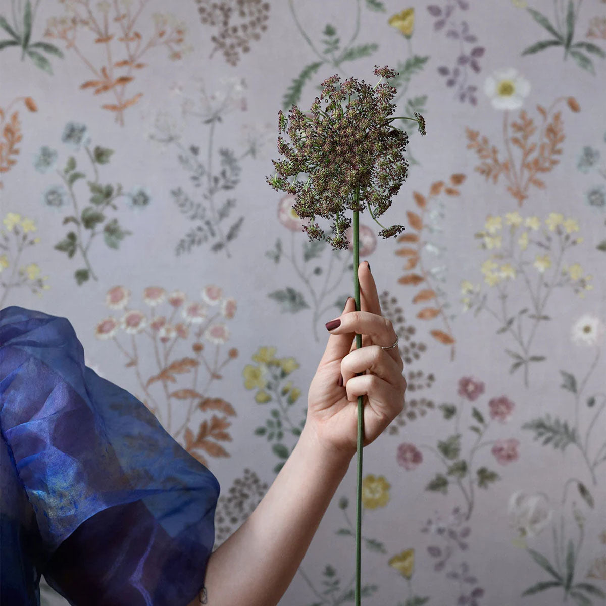 Botanica Mural Wallpaper - Borastapeter