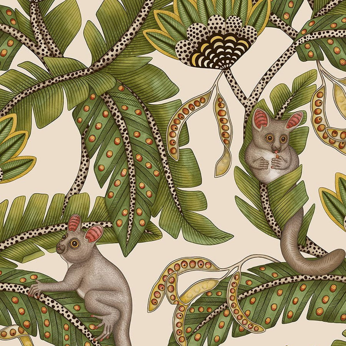 Bush Baby Wallpaper - Cole & Son