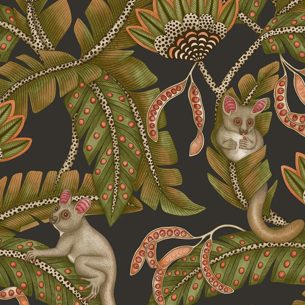 Bush Baby Wallpaper - Cole & Son