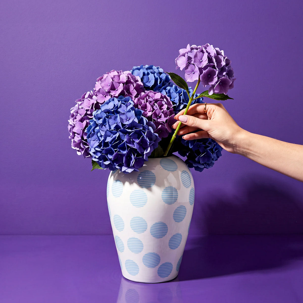 Canopie Vase - Seletti