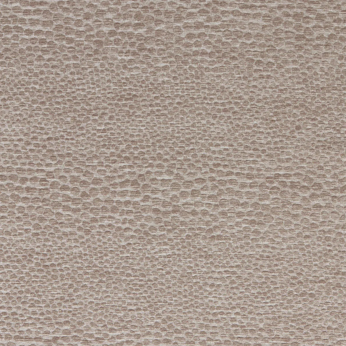 Castus Fabric - Clarke & Clarke