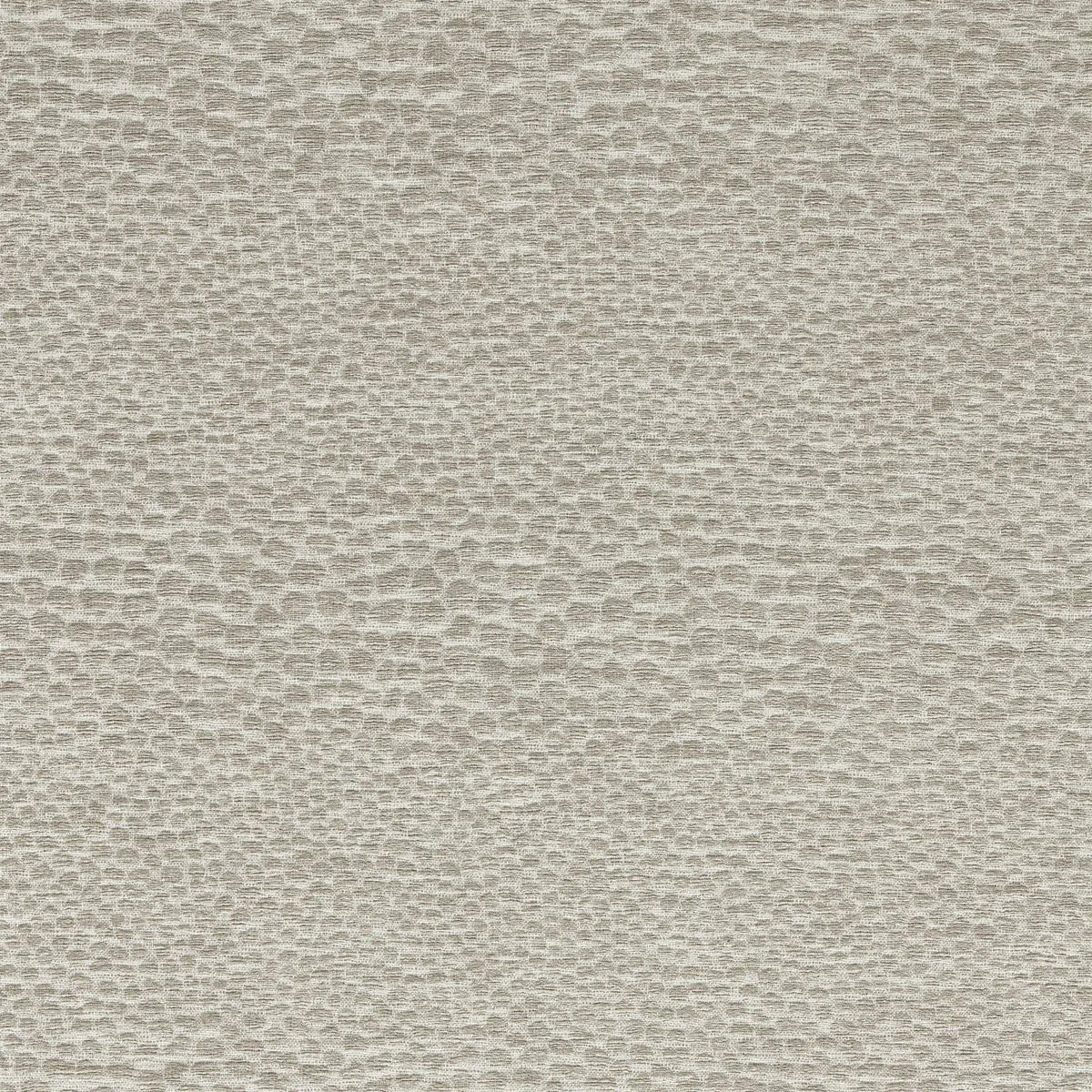 Castus Fabric - Clarke & Clarke
