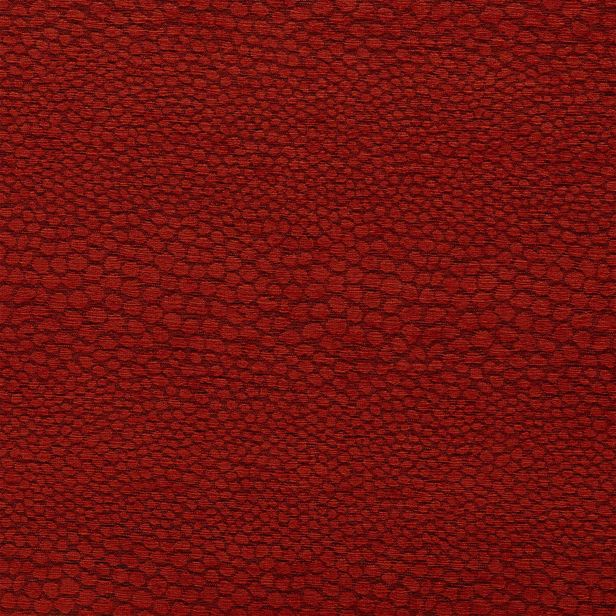 Castus Fabric - Clarke & Clarke
