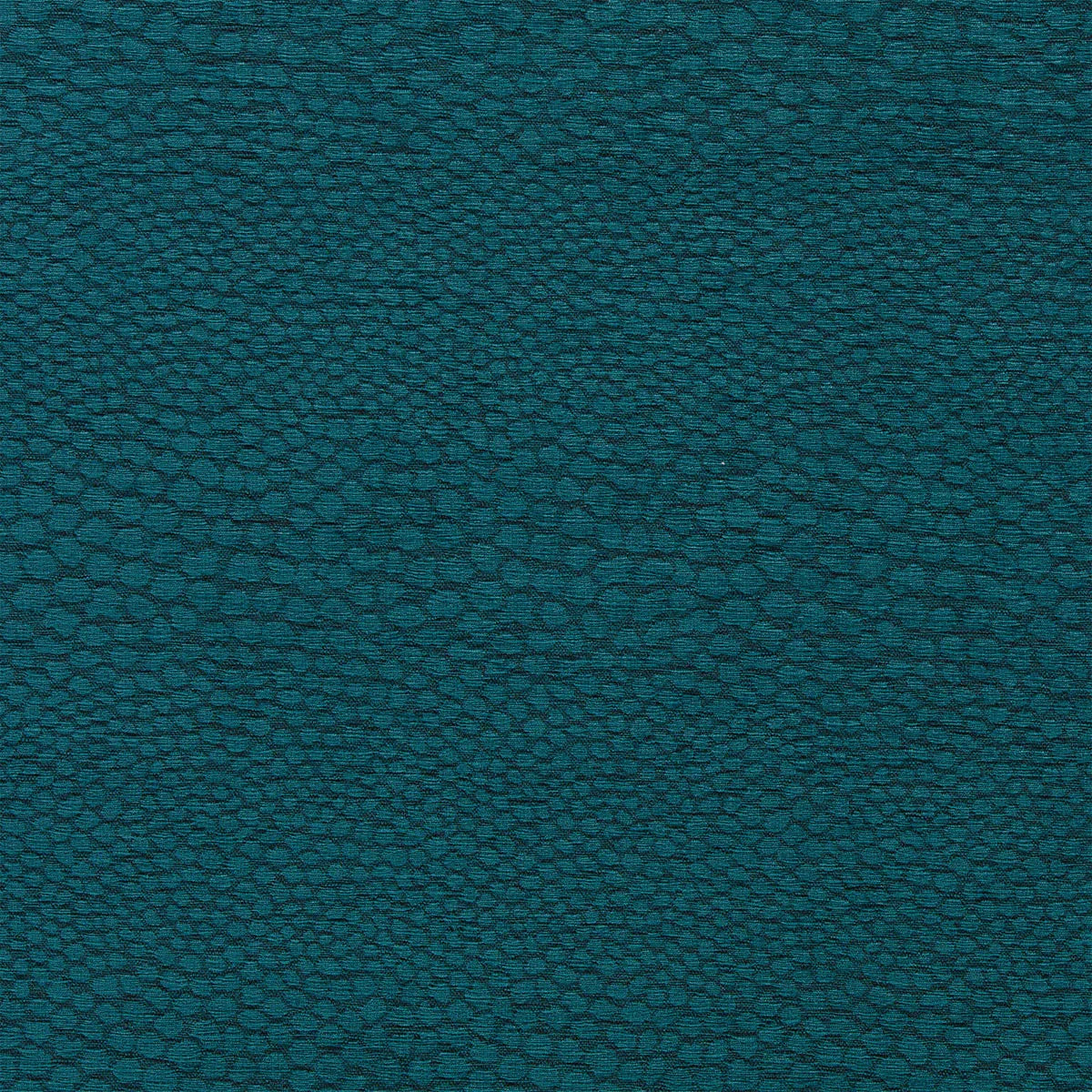 Castus Fabric - Clarke & Clarke