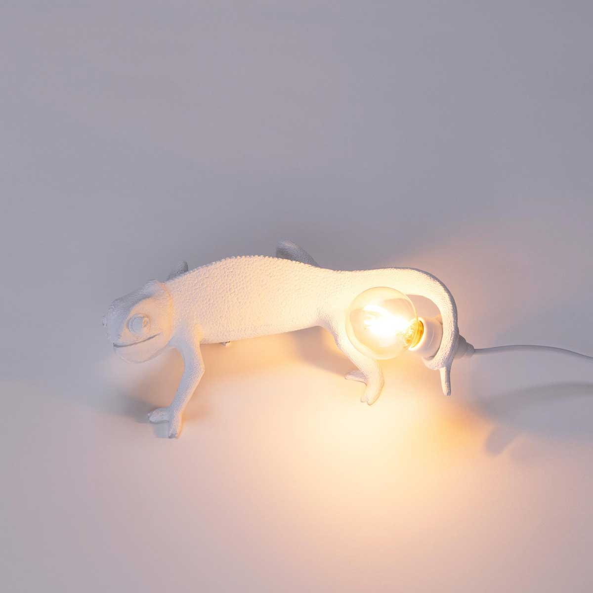 Chameleon Lamp - New Old For You