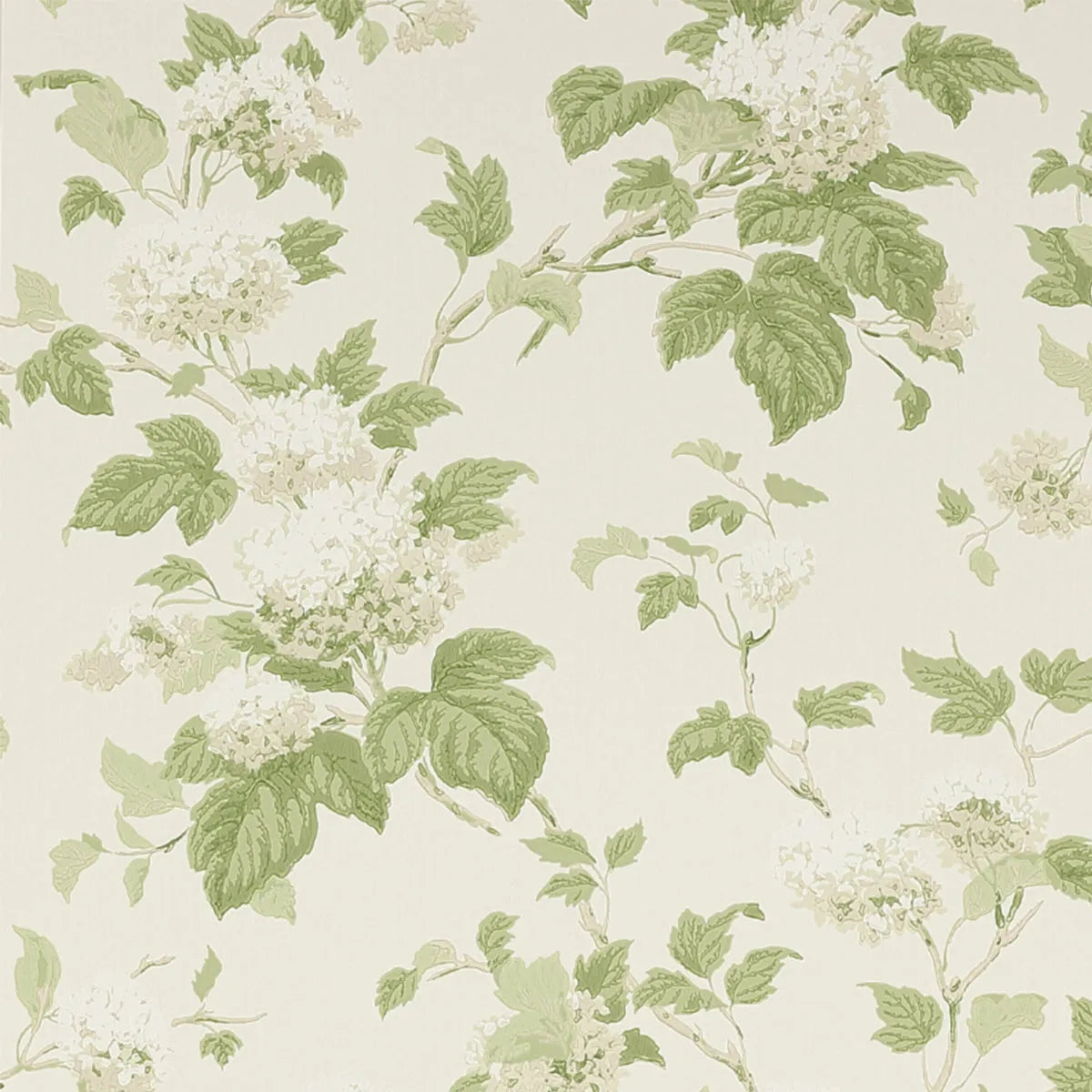 Colefax &amp; Fowler - Chantilly Wallpaper