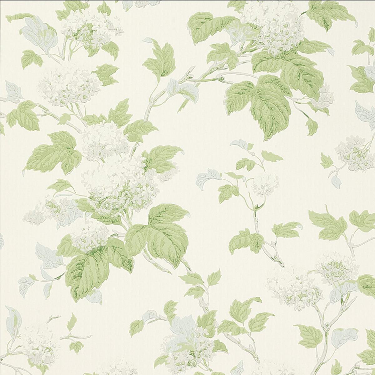 Colefax &amp; Fowler - Chantilly Wallpaper