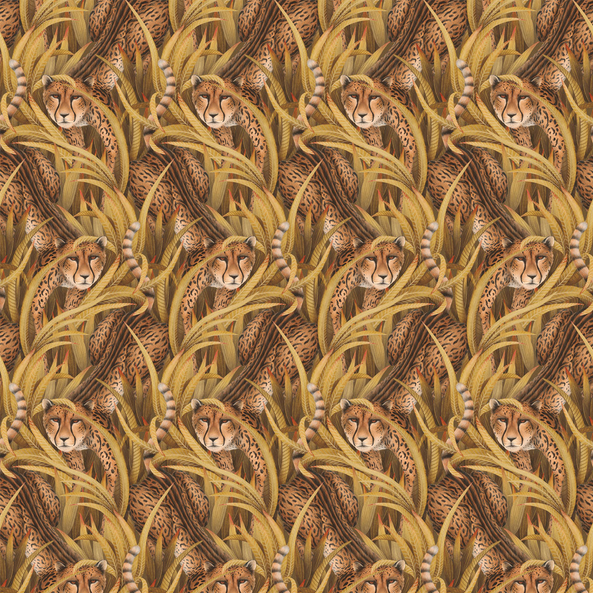 Cheetah Prowl Wallpaper - Cole & Son