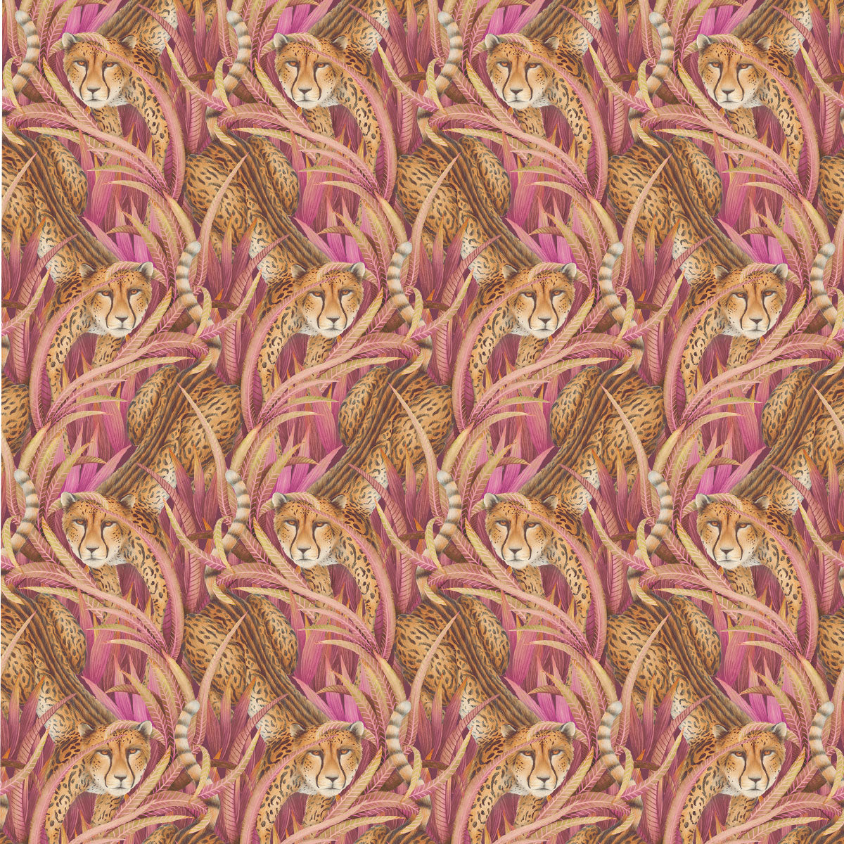 Cheetah Prowl Wallpaper - Cole & Son