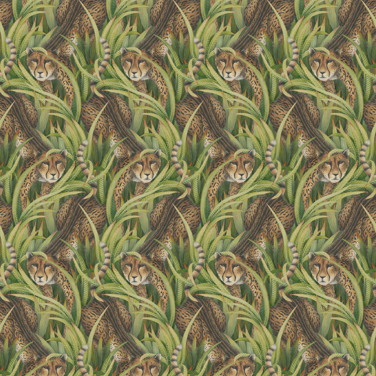 Cheetah Prowl Wallpaper - Cole & Son