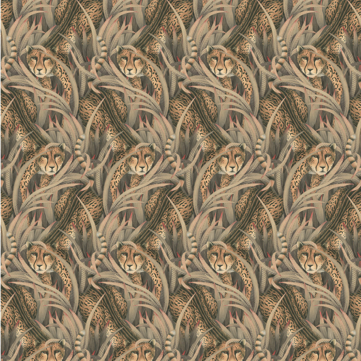 Cheetah Prowl Wallpaper - Cole & Son