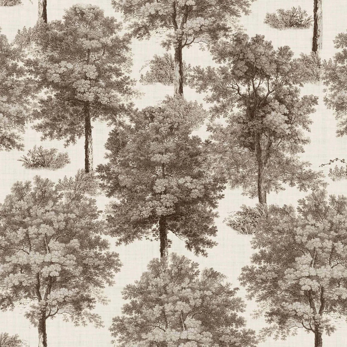 Chestnut Tree Wallpaper - Coordonne