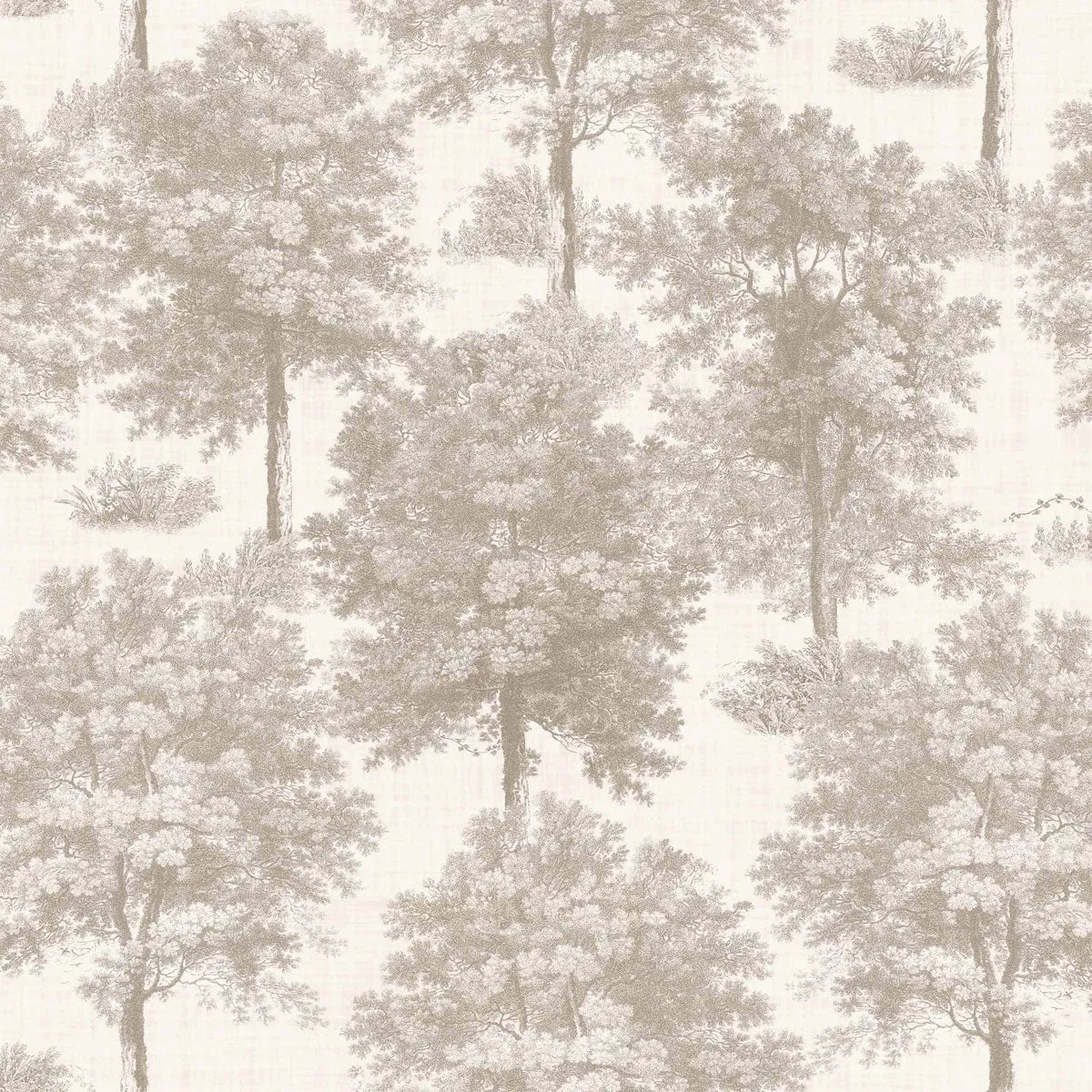 Chestnut Tree Wallpaper - Coordonne