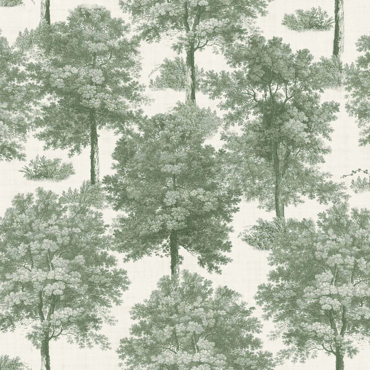 Chestnut Tree Wallpaper - Coordonne