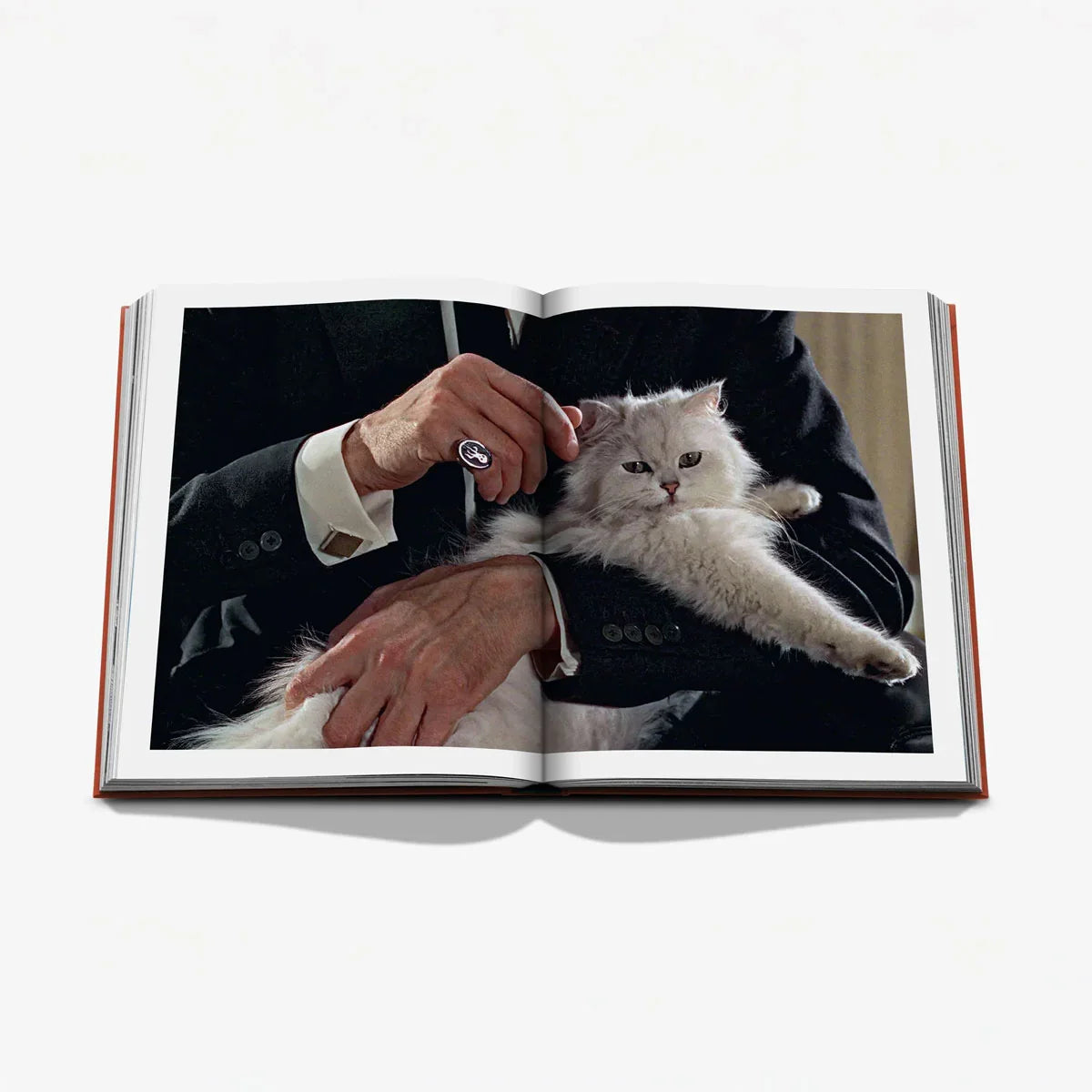 Chic Cats - Assouline