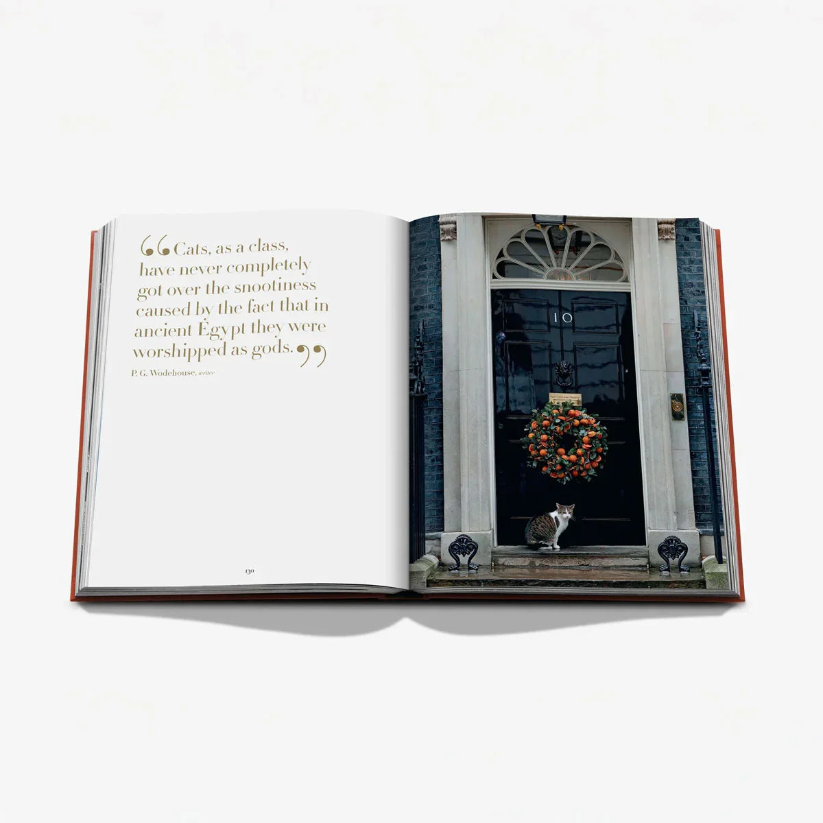 Chic Cats - Assouline