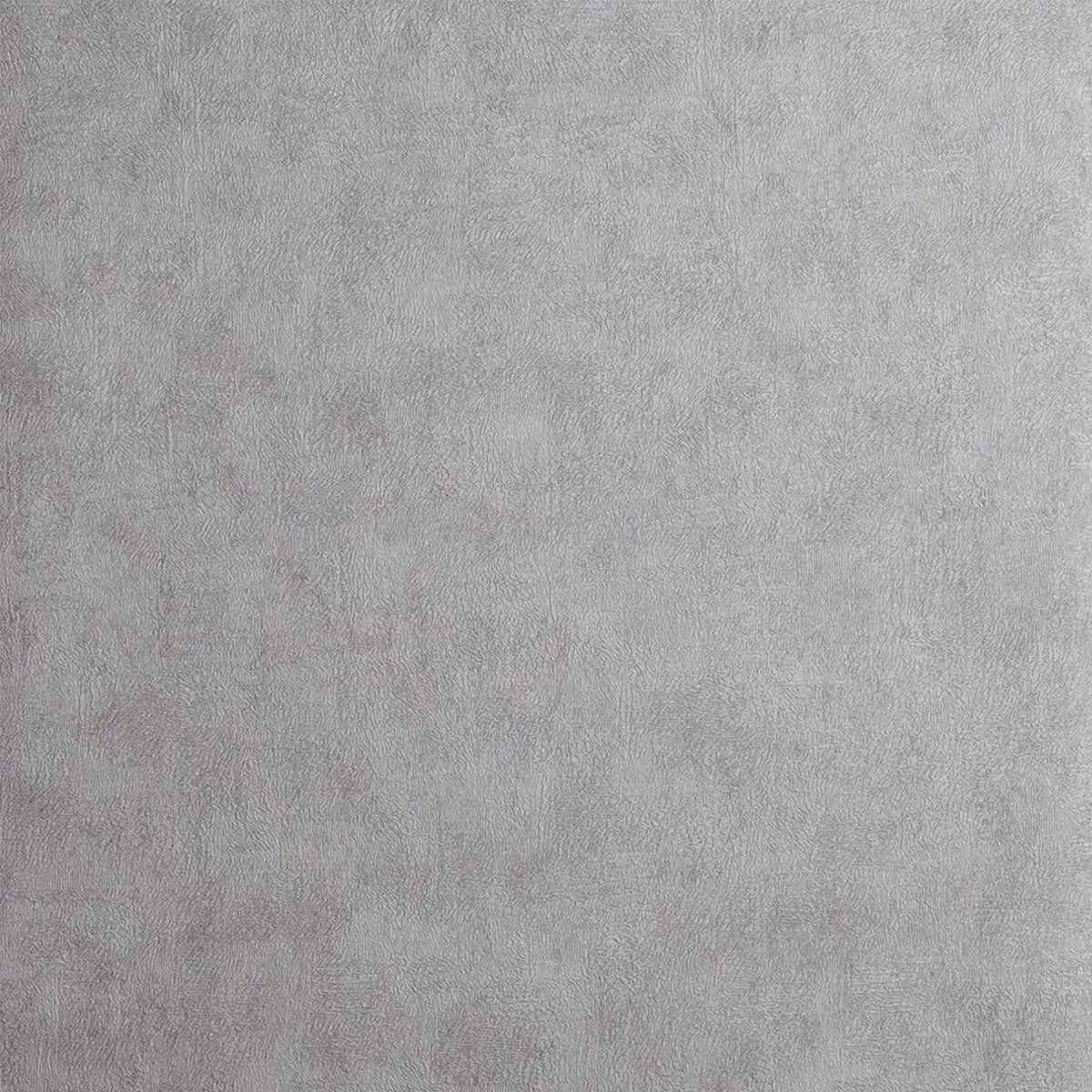Chinchilla Wallpaper - Clarke & Clarke