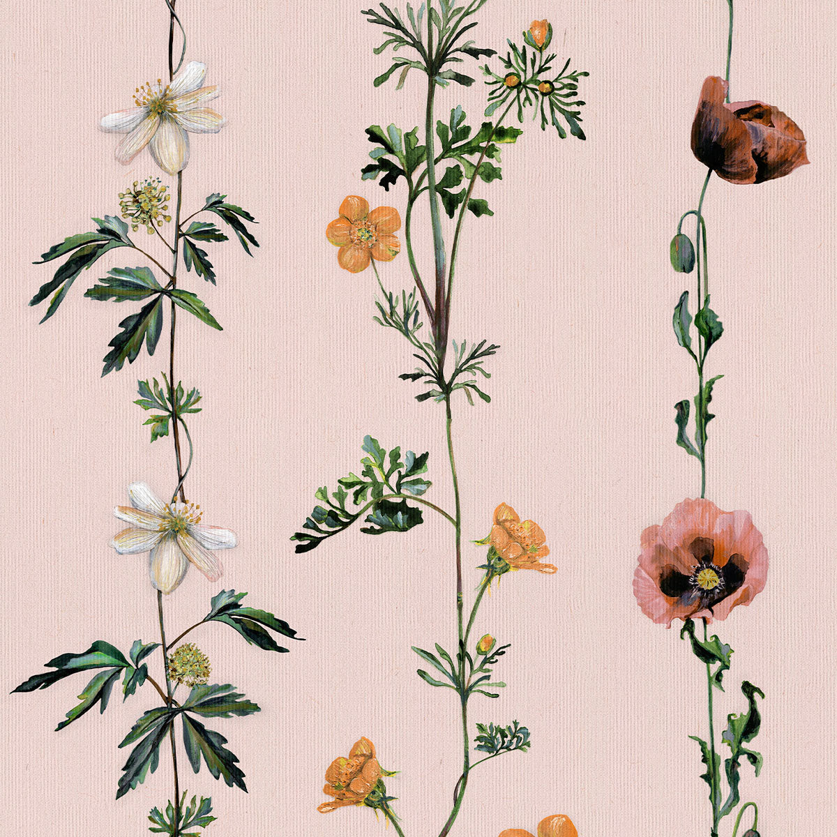 Climbing Flowers Wallpaper - Coordonne
