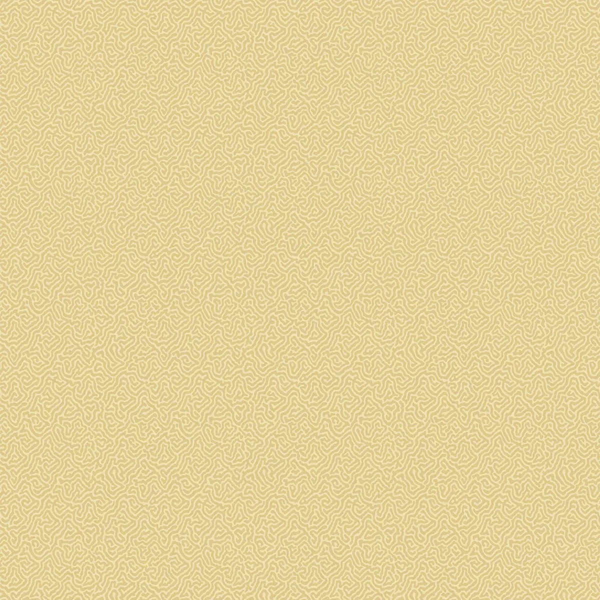 Coral Wallpaper - Cole & Son