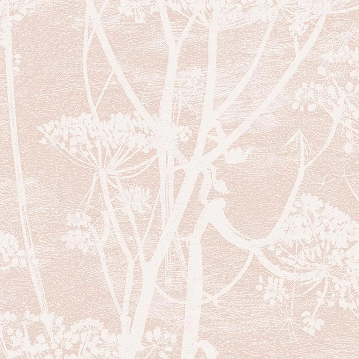 Cow Parsley Icons Wallpaper - Cole & Son