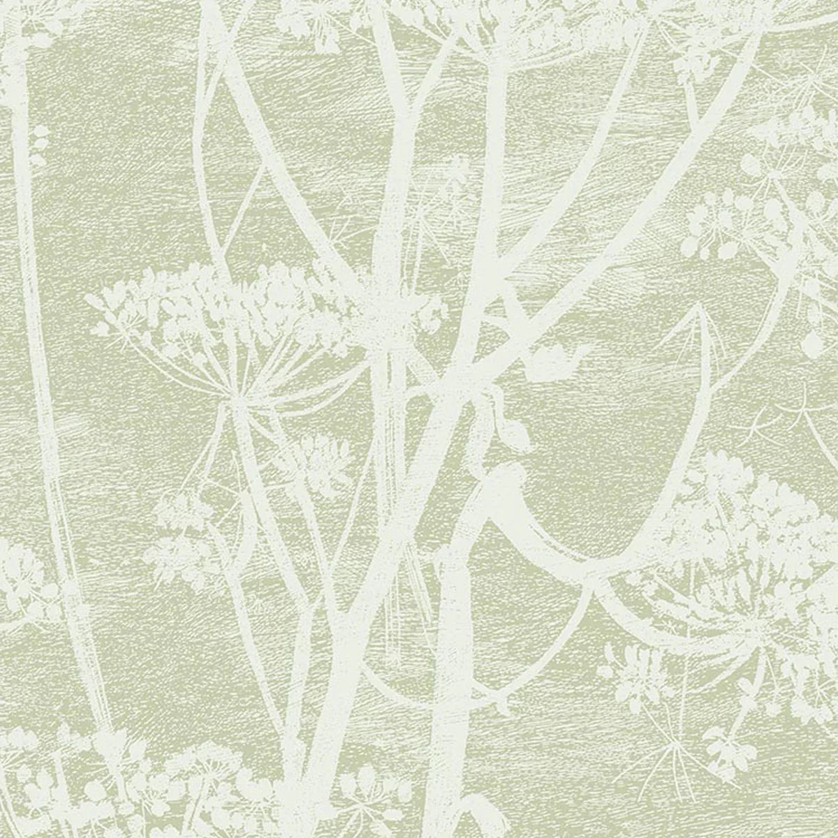Cow Parsley Icons Wallpaper - Cole & Son