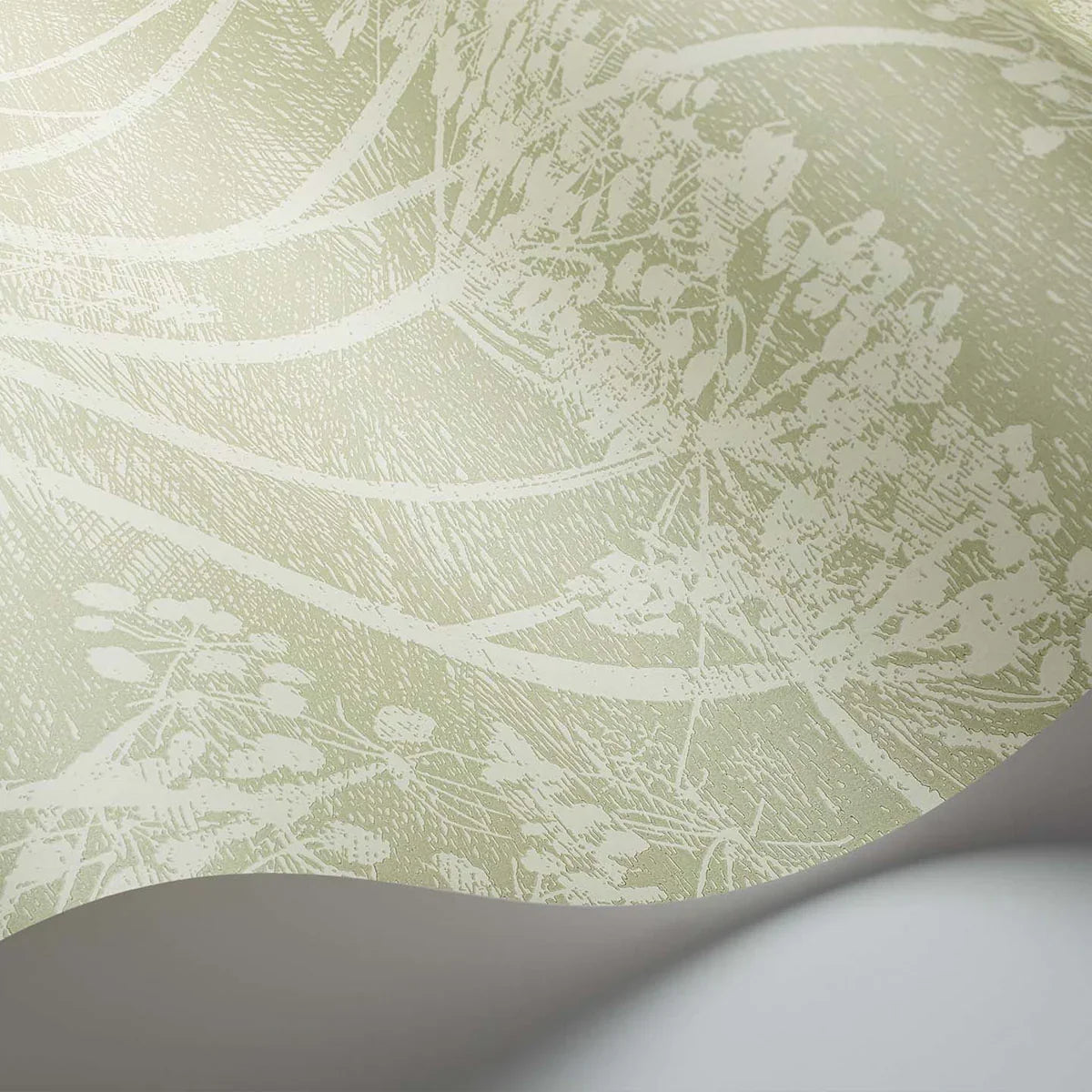 Cow Parsley Icons Wallpaper - Cole & Son