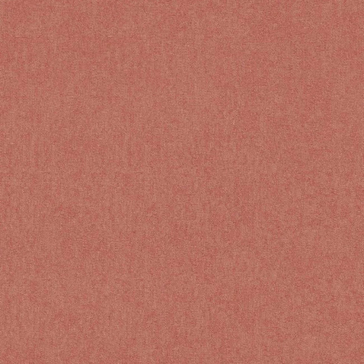 Cubby Wallpaper - GP&J Baker X Kit Kemp
