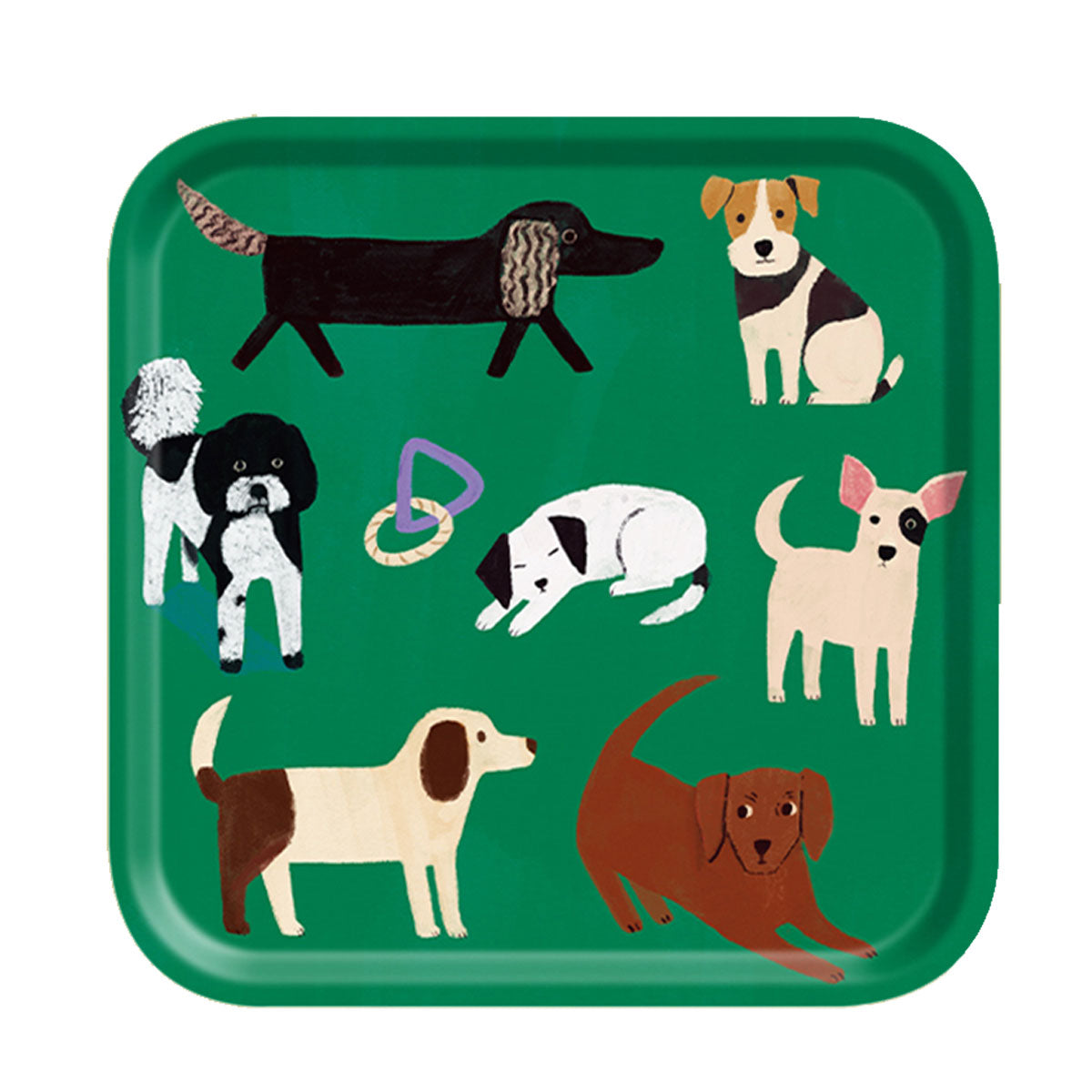 Birch Wood Small Square Tray - Avenida Home