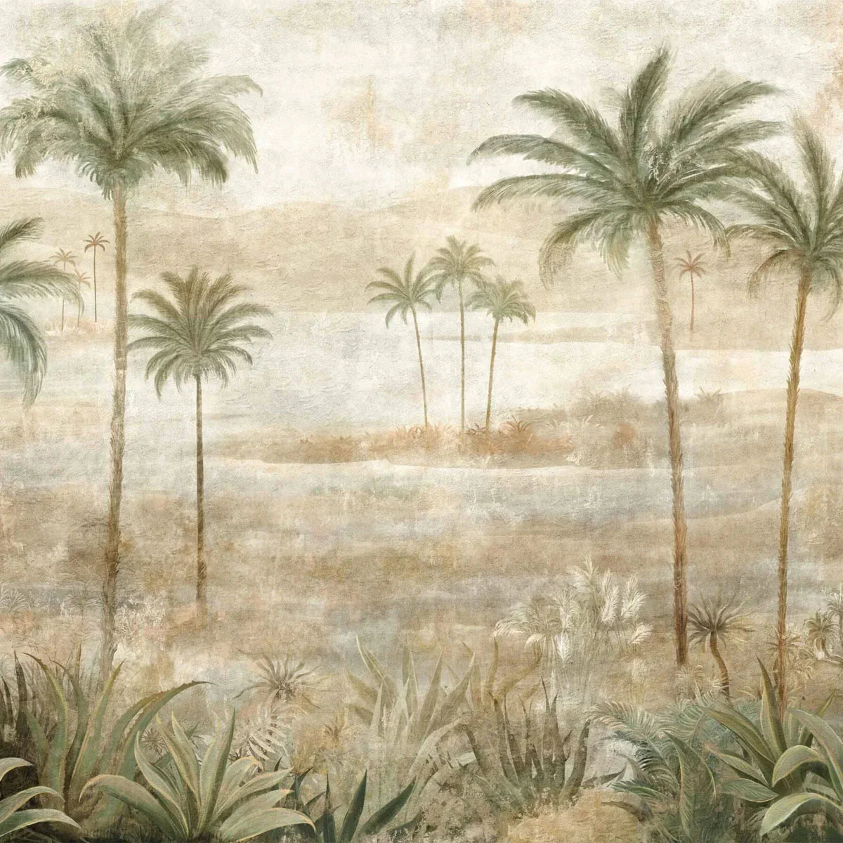 Draa Palms Mural Wallpaper - Coordonne