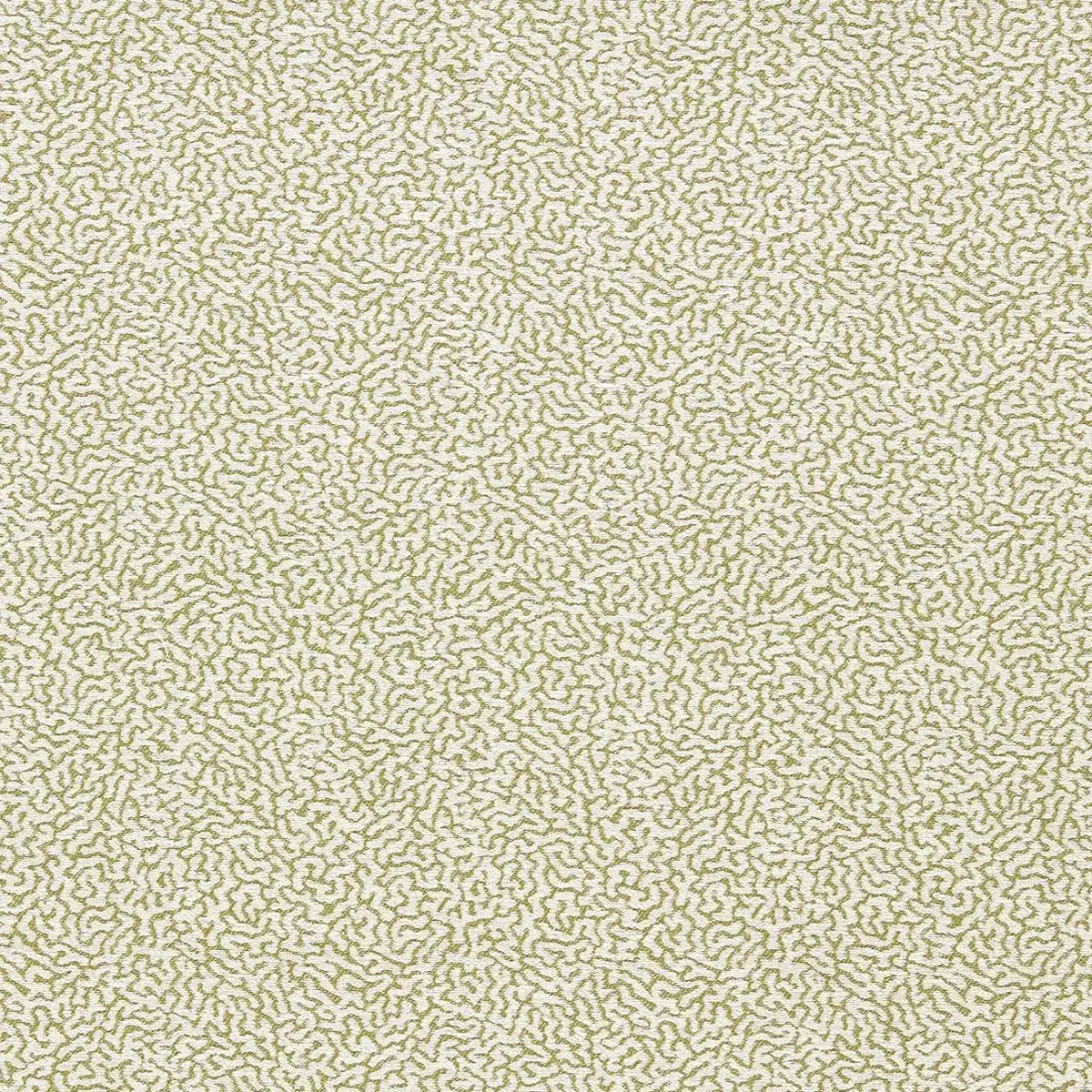 Duckweed Weave Fabric - Scion