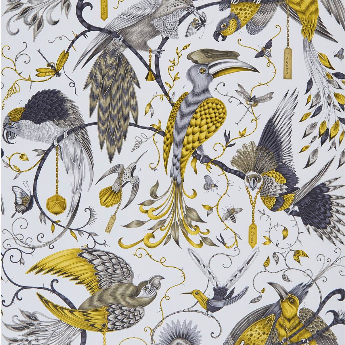Clarke &amp; Clarke X Emma Shipley &#39;Audubon - Gold&#39; Wallpaper
