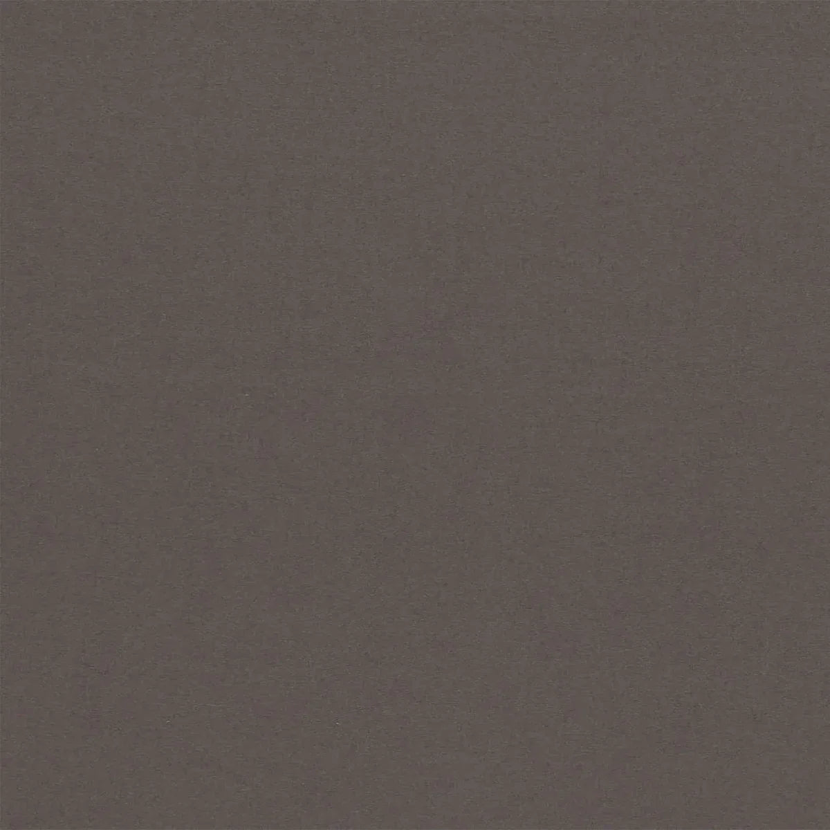 Empower Plain Fabric - Harlequin