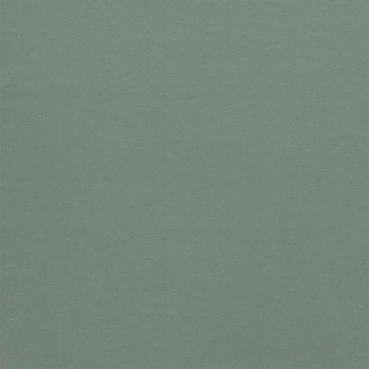 Empower Plain Fabric - Harlequin