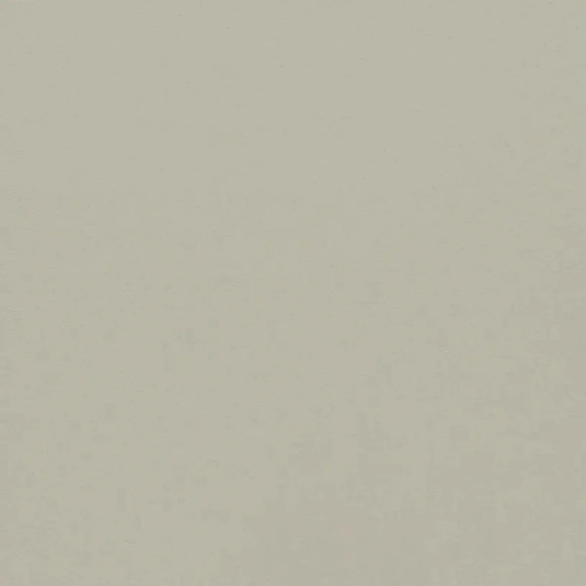 Empower Plain Fabric - Harlequin