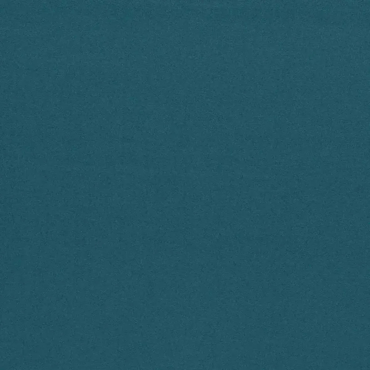 Empower Plain Fabric - Harlequin