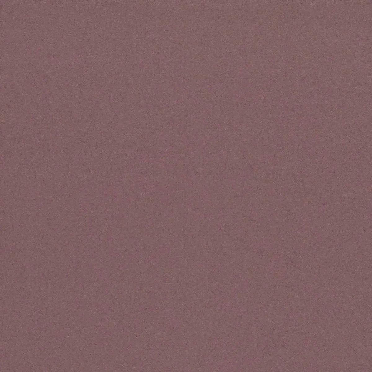 Empower Plain Fabric - Harlequin