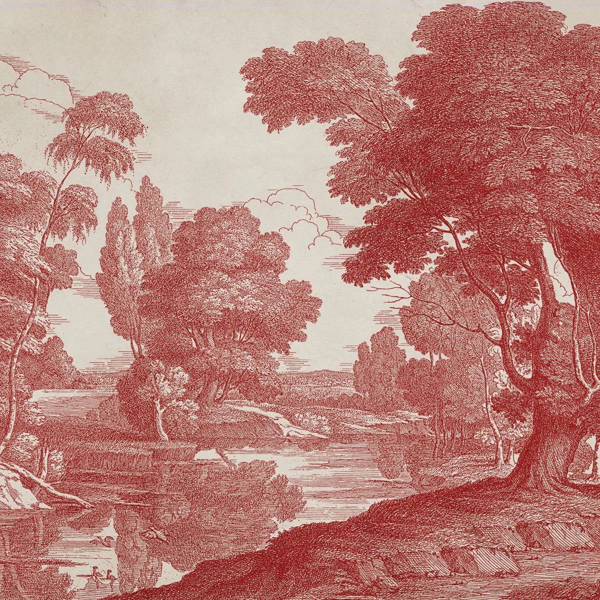 Engraving Mural Wallpaper - Coordonne