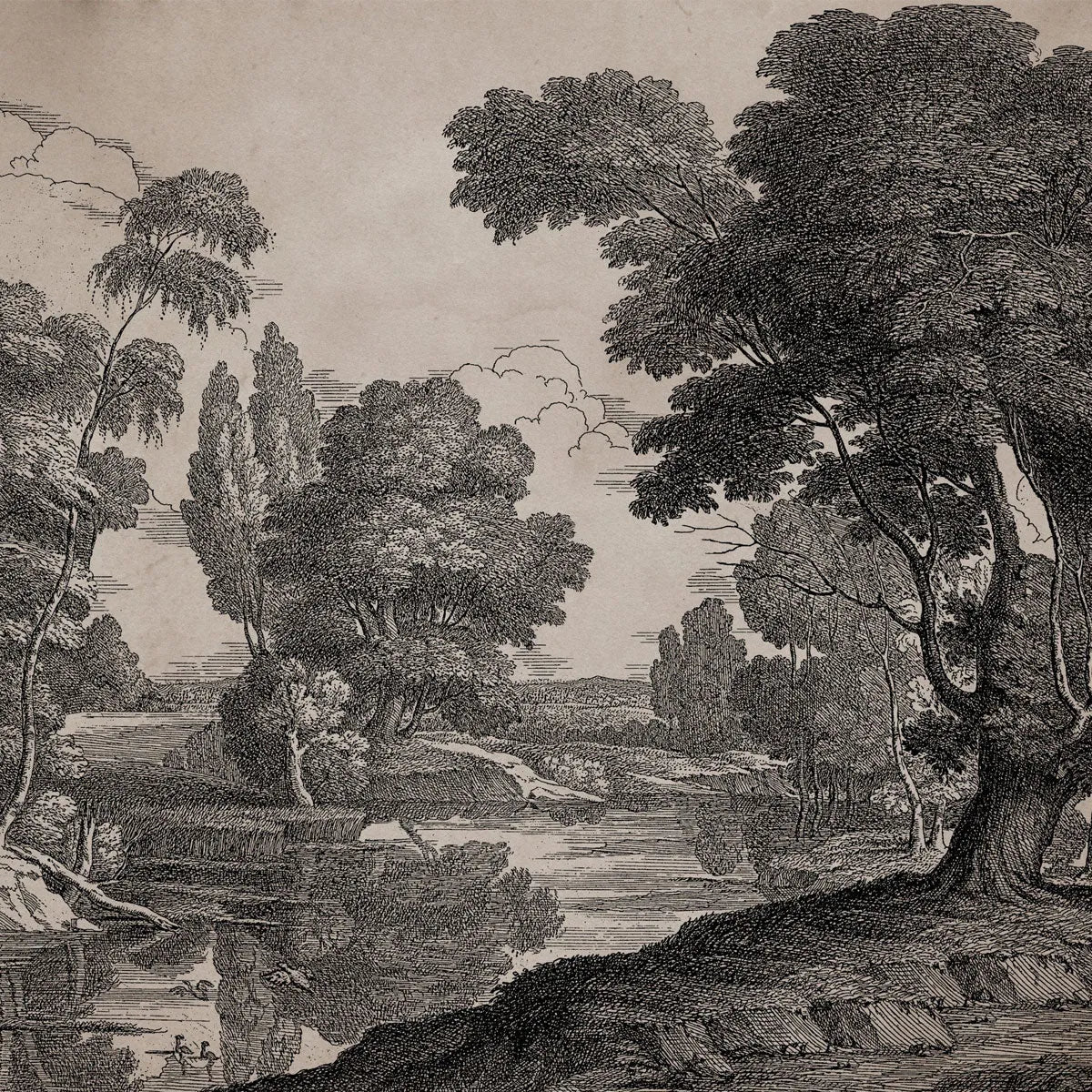 Engraving Mural Wallpaper - Coordonne