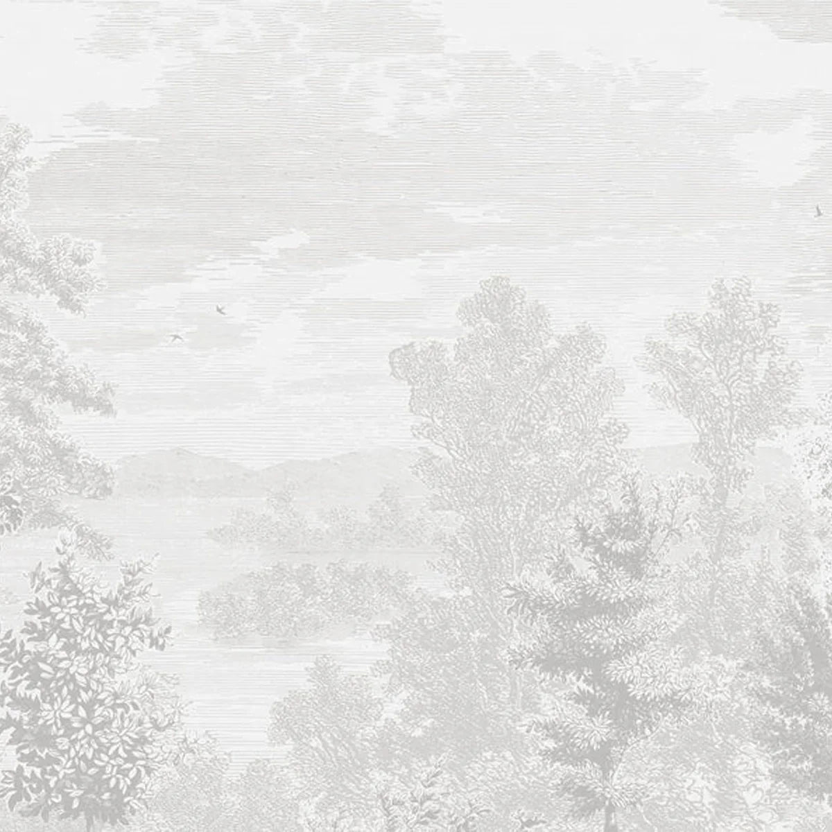 Etched Landscape Wallpaper - Borastapeter