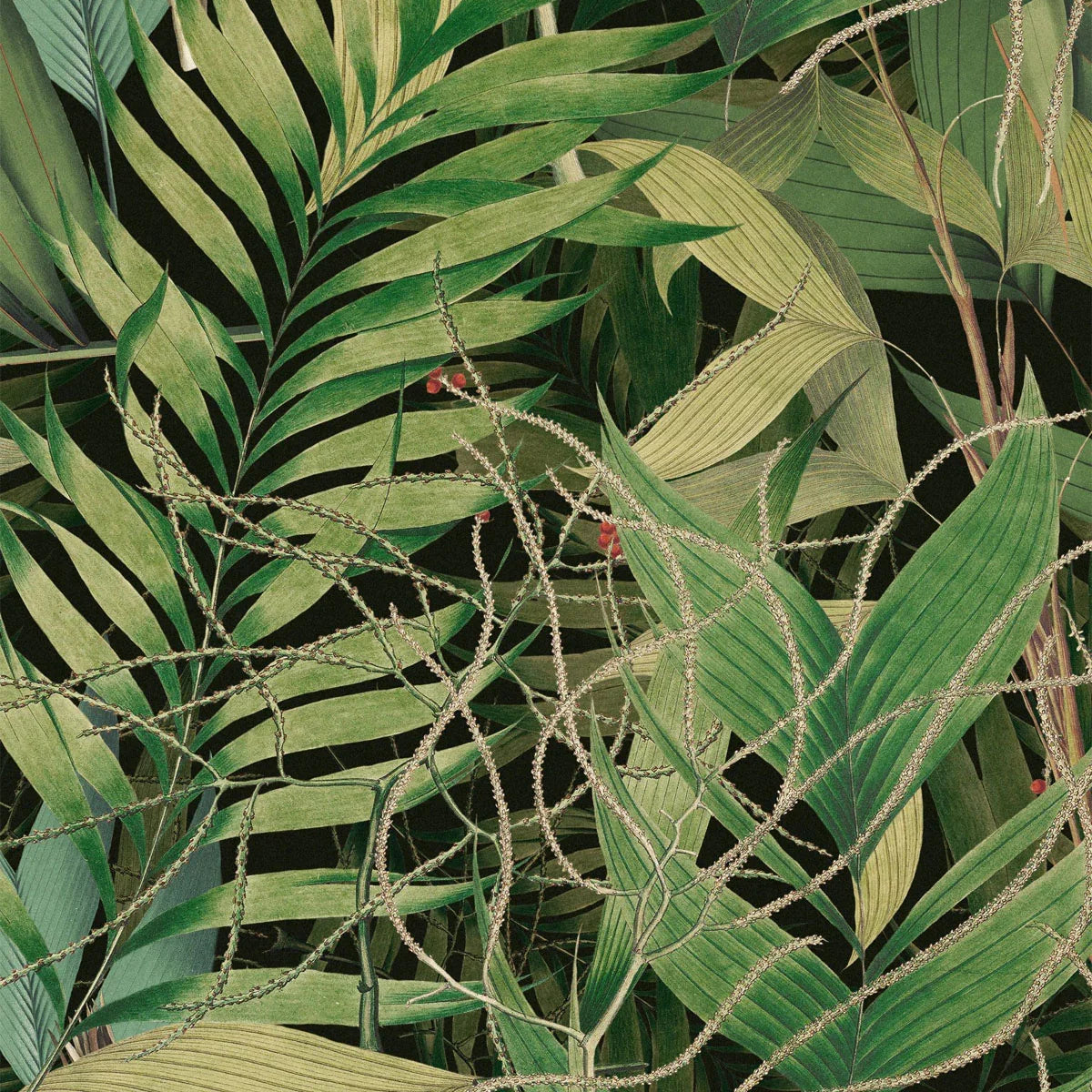 Exotic Garden Wallpaper - Mind The Gap