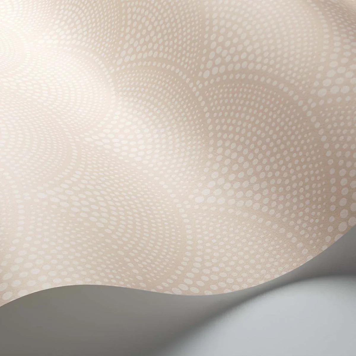 Feather Fan Icons Wallpaper - Cole & Son