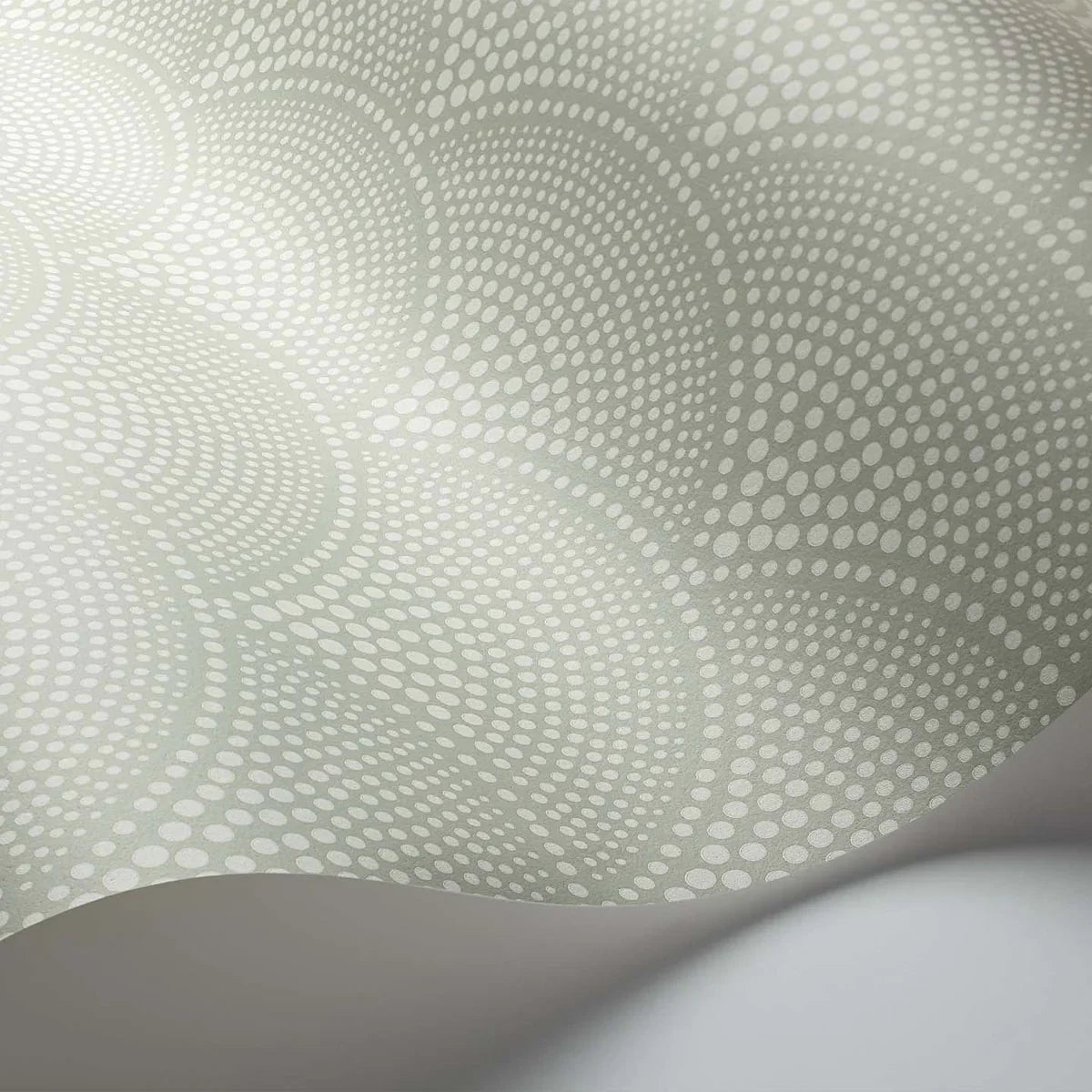 Feather Fan Icons Wallpaper - Cole & Son