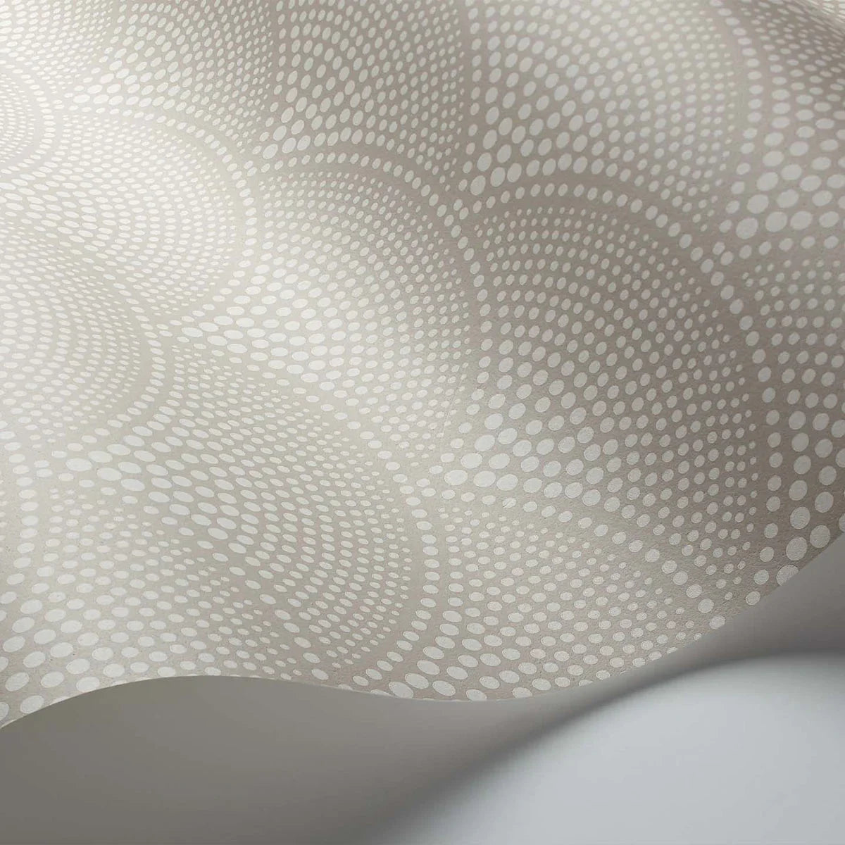 Feather Fan Icons Wallpaper - Cole & Son