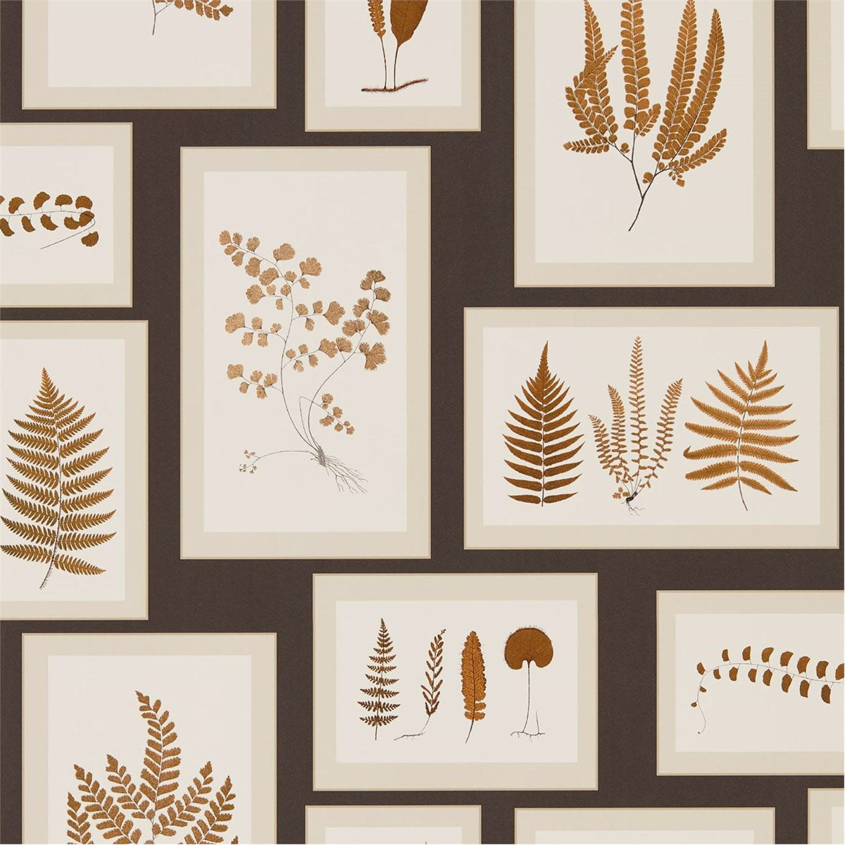 Fern Gallery Charcoal/Spice Wallpaper - Sanderson