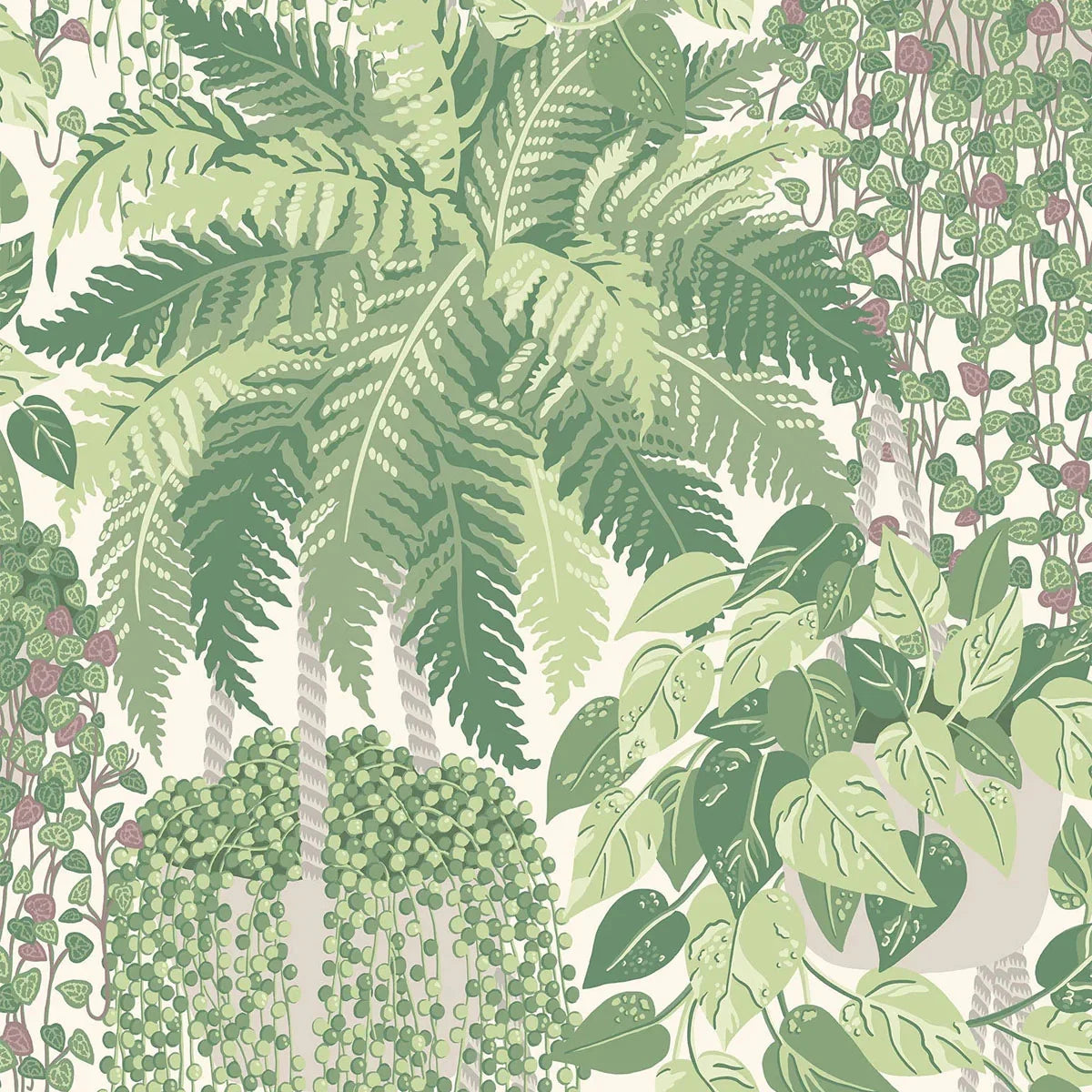Fern Wallpaper - Cole & Son