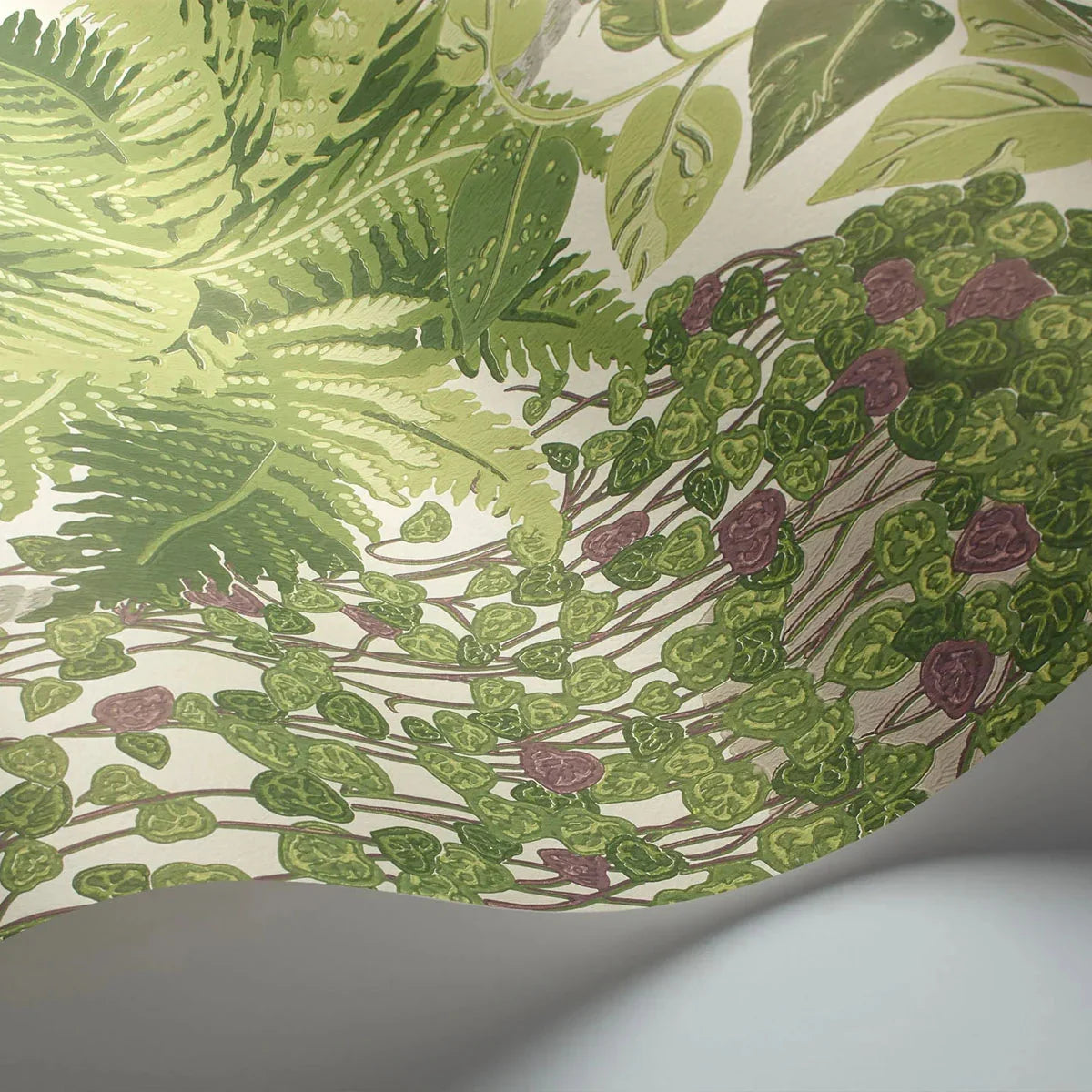 Fern Wallpaper - Cole & Son